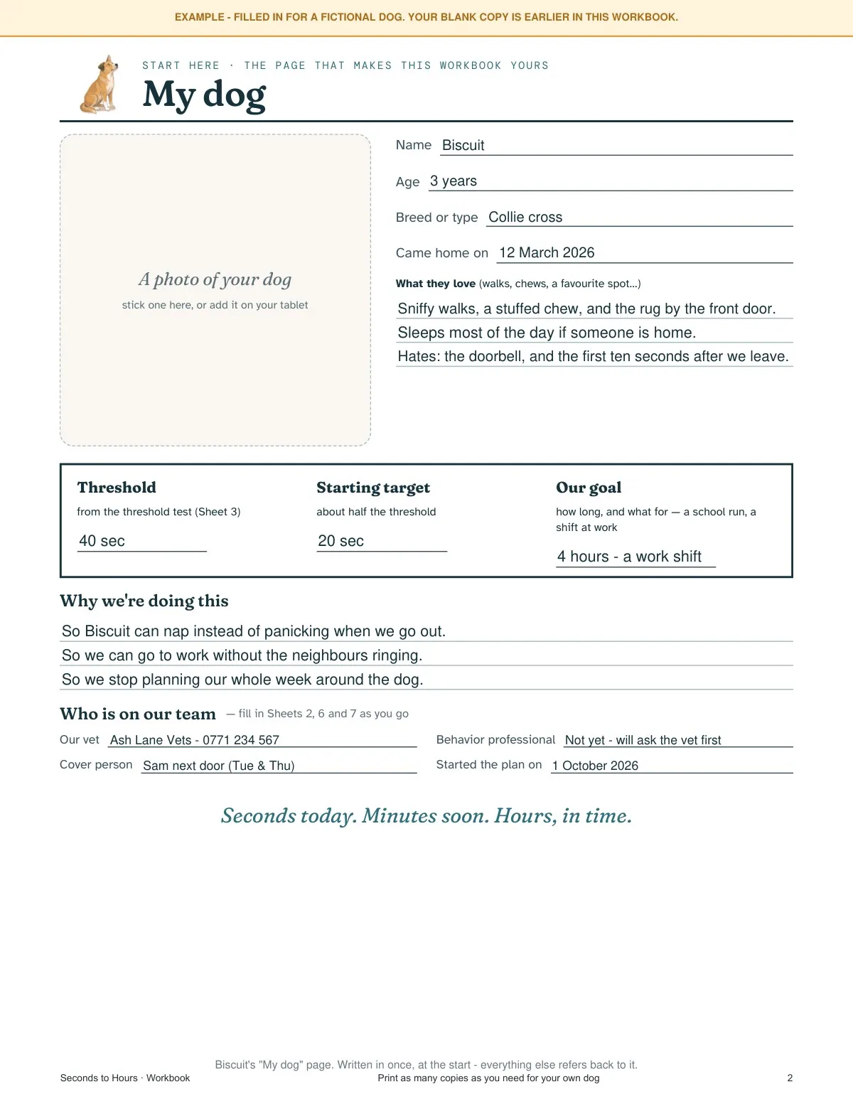 The Workbook: Example: “My dog”, filled in — real page