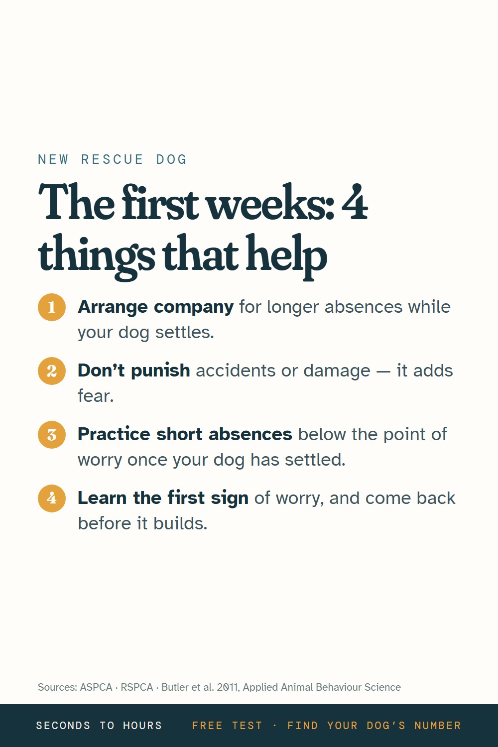Infographic: four things that help a newly adopted rescue dog cope with being left alone in the first weeks
