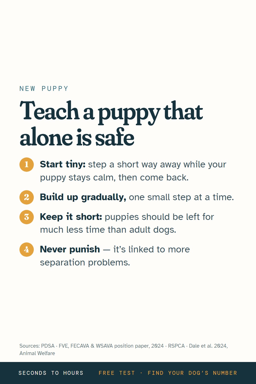 Infographic: four steps to teach a puppy that being alone is safe