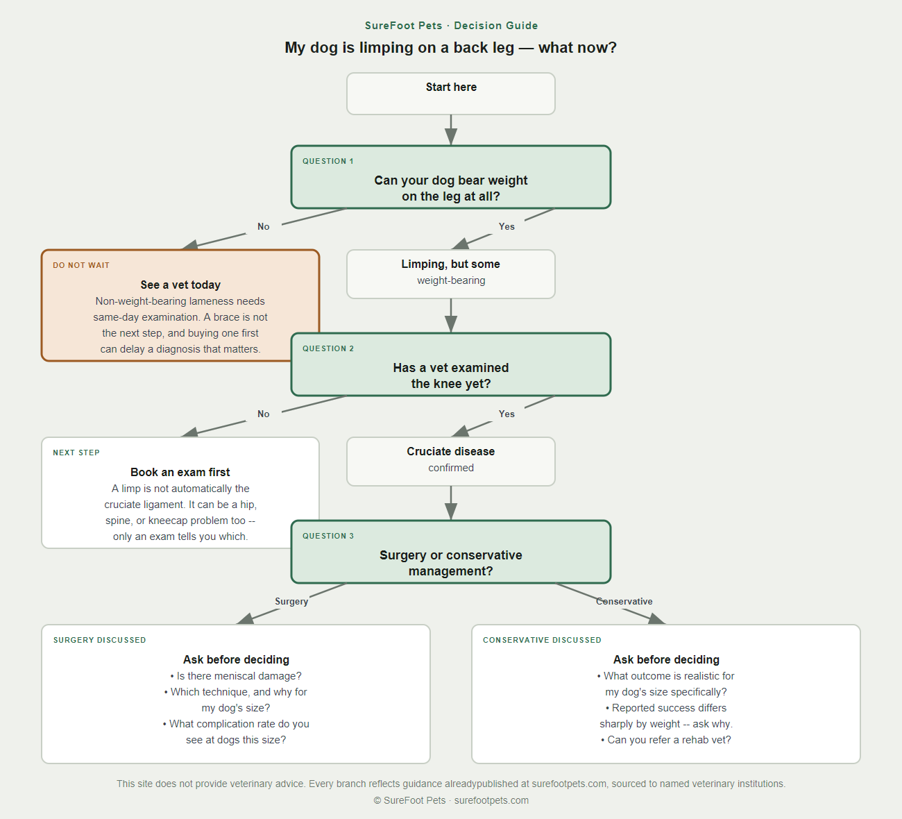 Decision tree for a dog limping on a back leg